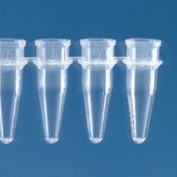 Microtube barrette 12 tubes 0.2 ml incolore sans capuchon